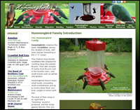 Hummingbird Central Hummingbird Central