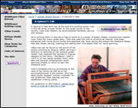 Wildflower Fiber East Texas Artisans Wildflower Fiber East Texas Artisans